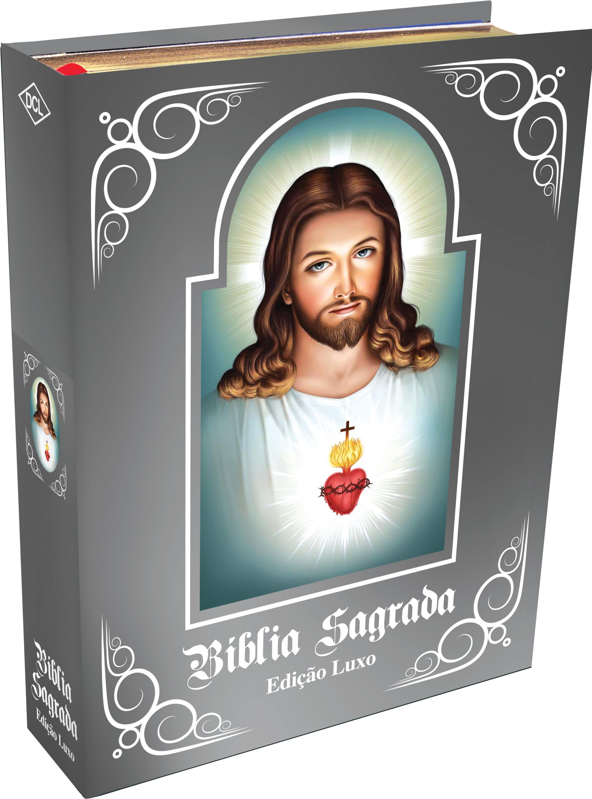 BÍBLIA SAGRADA EDIÇÃO LUXO (CAPA PRATA)